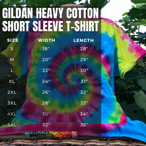 Neon Rainbow Spiral T-Shirt (or Bandana)
