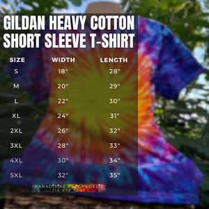 Gildan Heavy Cotton Short Sleeve T-Shirt size chart graphic listing measurements for adult sizes SM-5XL.