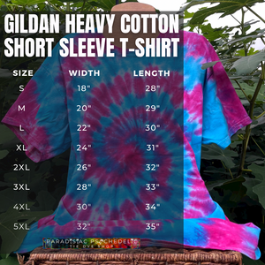 Cotton Candy Spiral Tie Dye T-Shirt